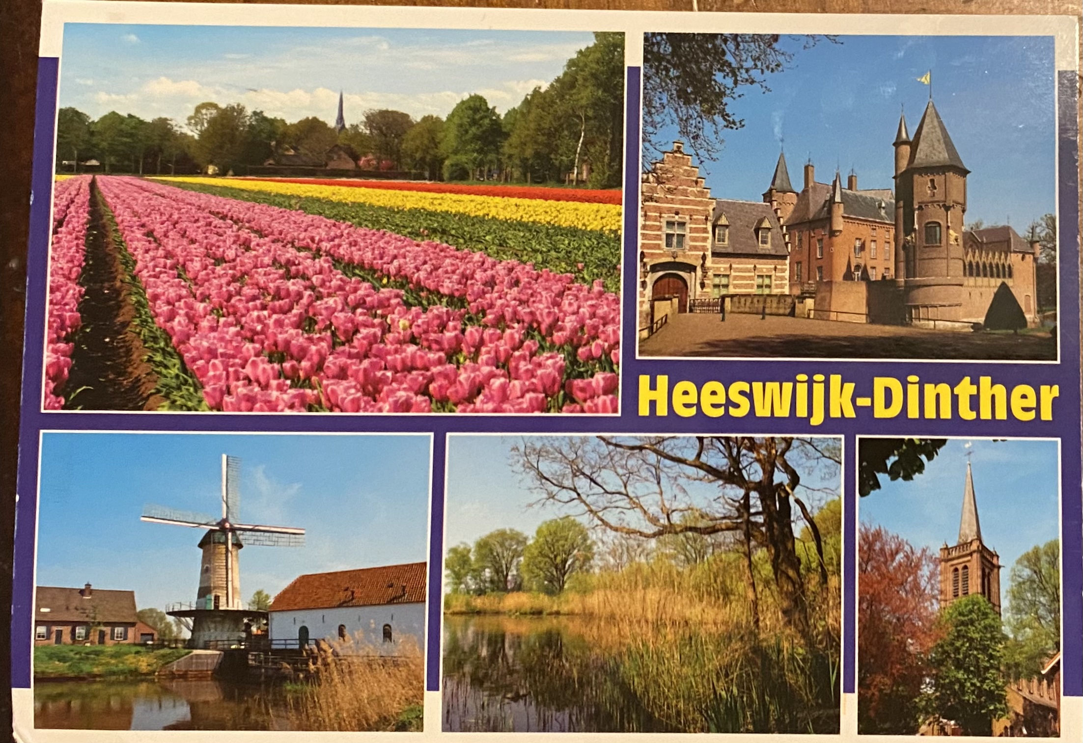 Postcard from the Netherlands, received Jan 26 2022