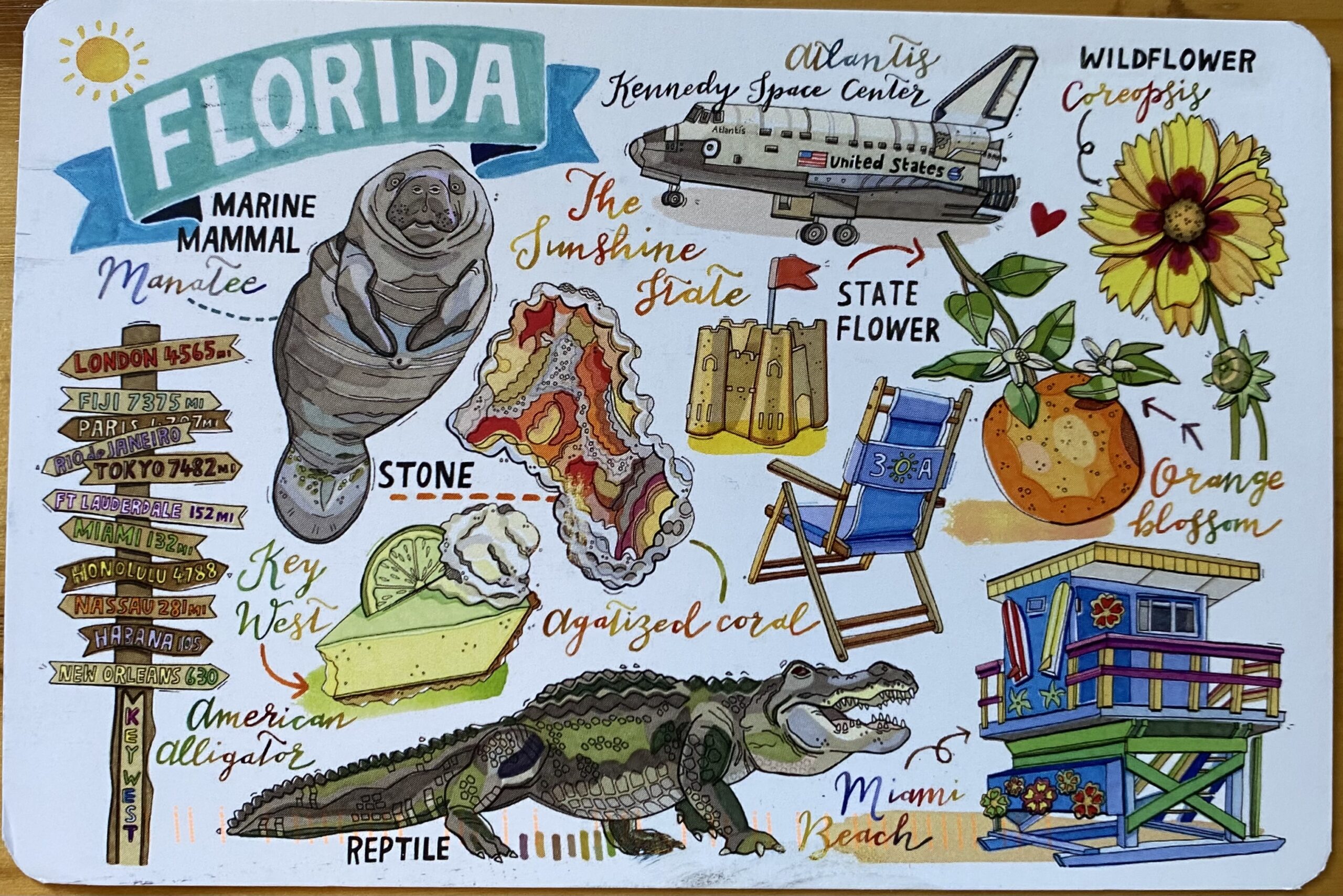 Postcard from Florida, received August 10 2022