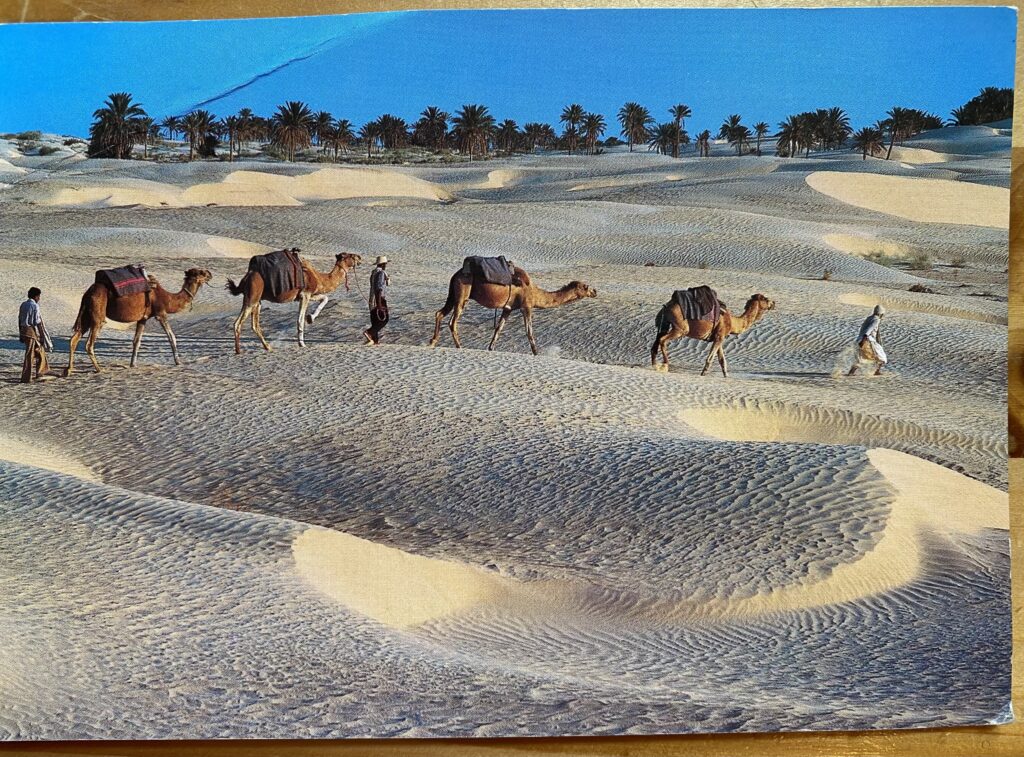 Postcard from Algeria, received Jun 6, 2023.